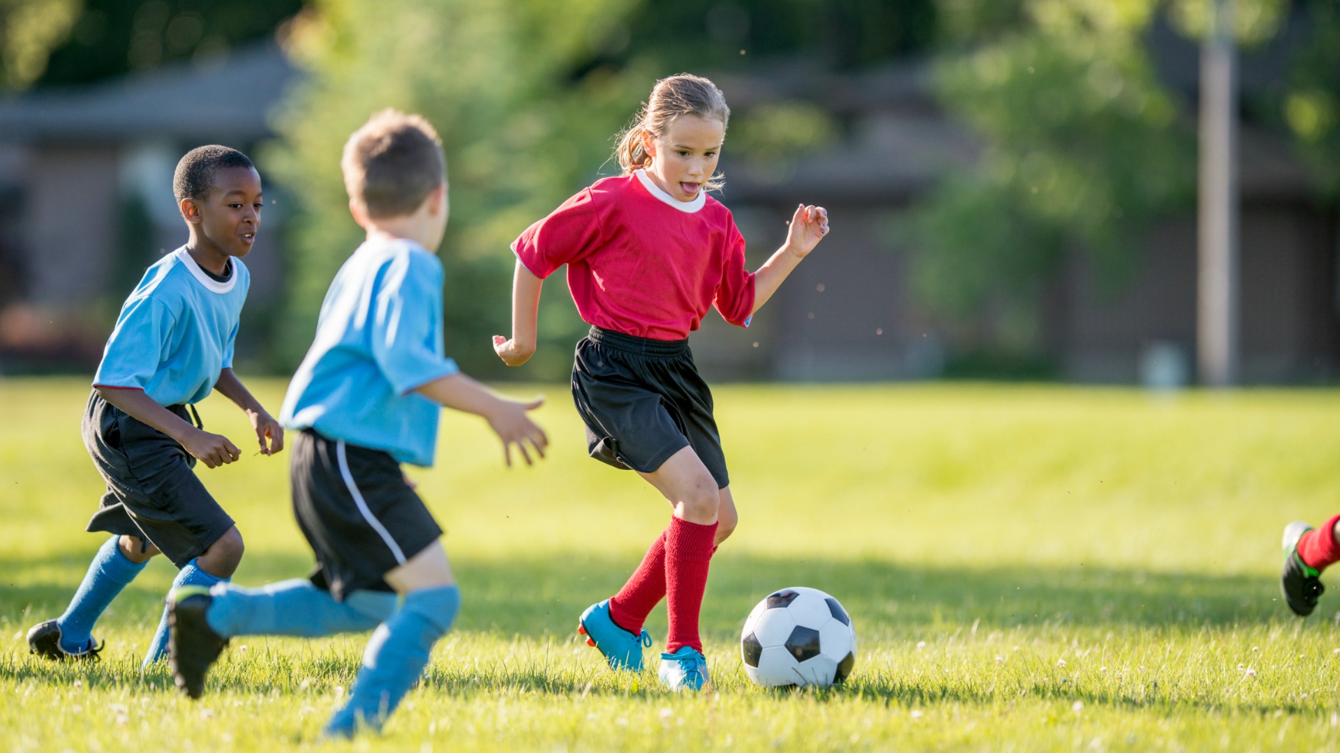 https://www.demoopencart.in/blog/oc3/image/cache/catalog/age-appropriate-sports-for-kids-1920x1080.jpeg