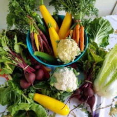 vegetables