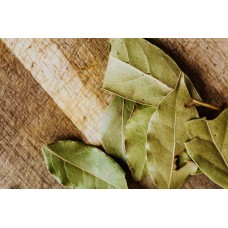 Bay leaf Bay leaf
