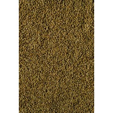 Fenugreek seeds Fenugreek seeds