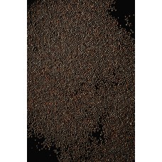Mustard seeds Mustard seeds