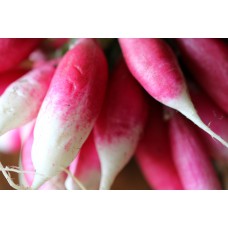 Radish Radish