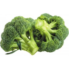 broccoli broccoli