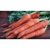 Carrots Carrots
