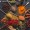 Spices