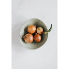 Onion Onion