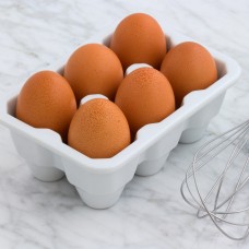 Egg
