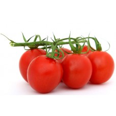 Tomato Tomato