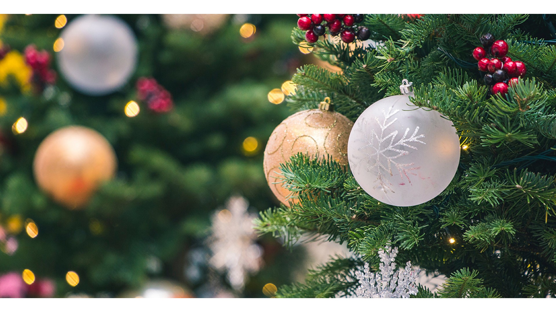 https://www.demoopencart.in/themes/christmastheme/oc3/image/cache/catalog/christams/blog/christmas-tree-1920x1080.jpg https://www.demoopencart.in/themes/christmastheme/oc3/image/cache/catalog/christams/blog/christmas-tree-1920x1080.jpg