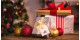Christmas Gift