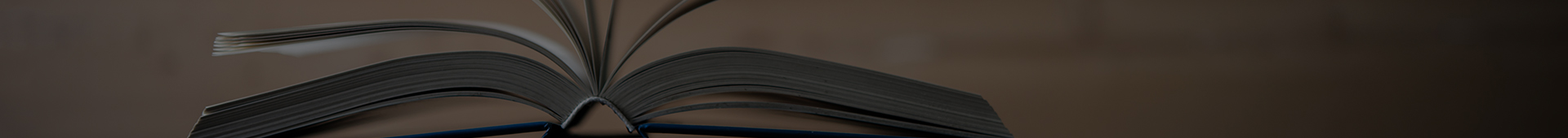 baner1