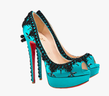 Heel Shoe
