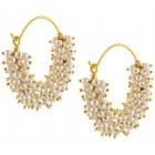 Earrings Earrings