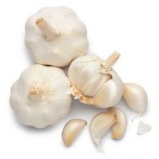Garlic Garlic
