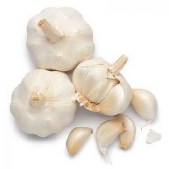 Garlic Garlic