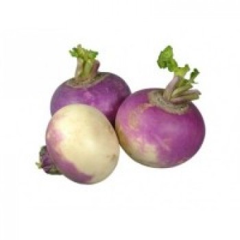 Turnip Turnip
