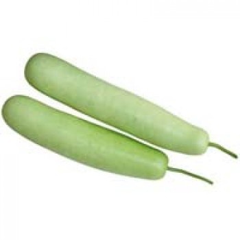 Bottle Gourd Bottle Gourd