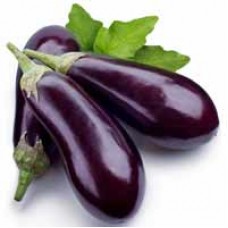 Brinjal Brinjal