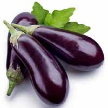 Brinjal Brinjal
