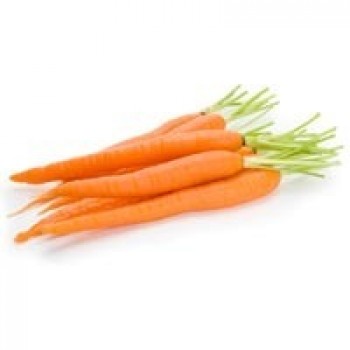 Carrot Carrot