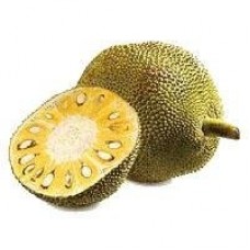 jackfruit jackfruit
