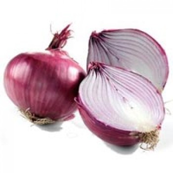 Onion