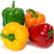 Capsicum Capsicum