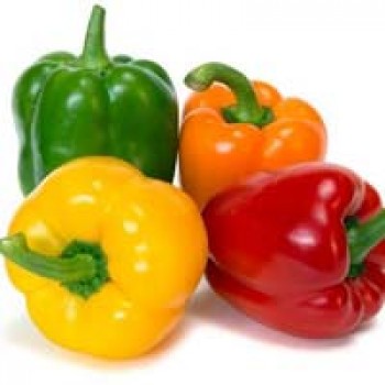 Capsicum Capsicum