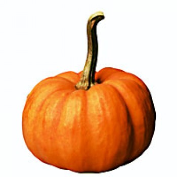 Pumpkin Pumpkin